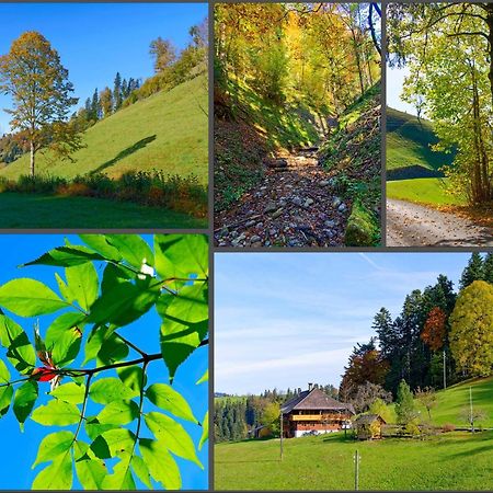 Emmental Ferien Apartamento Langnau Exterior foto
