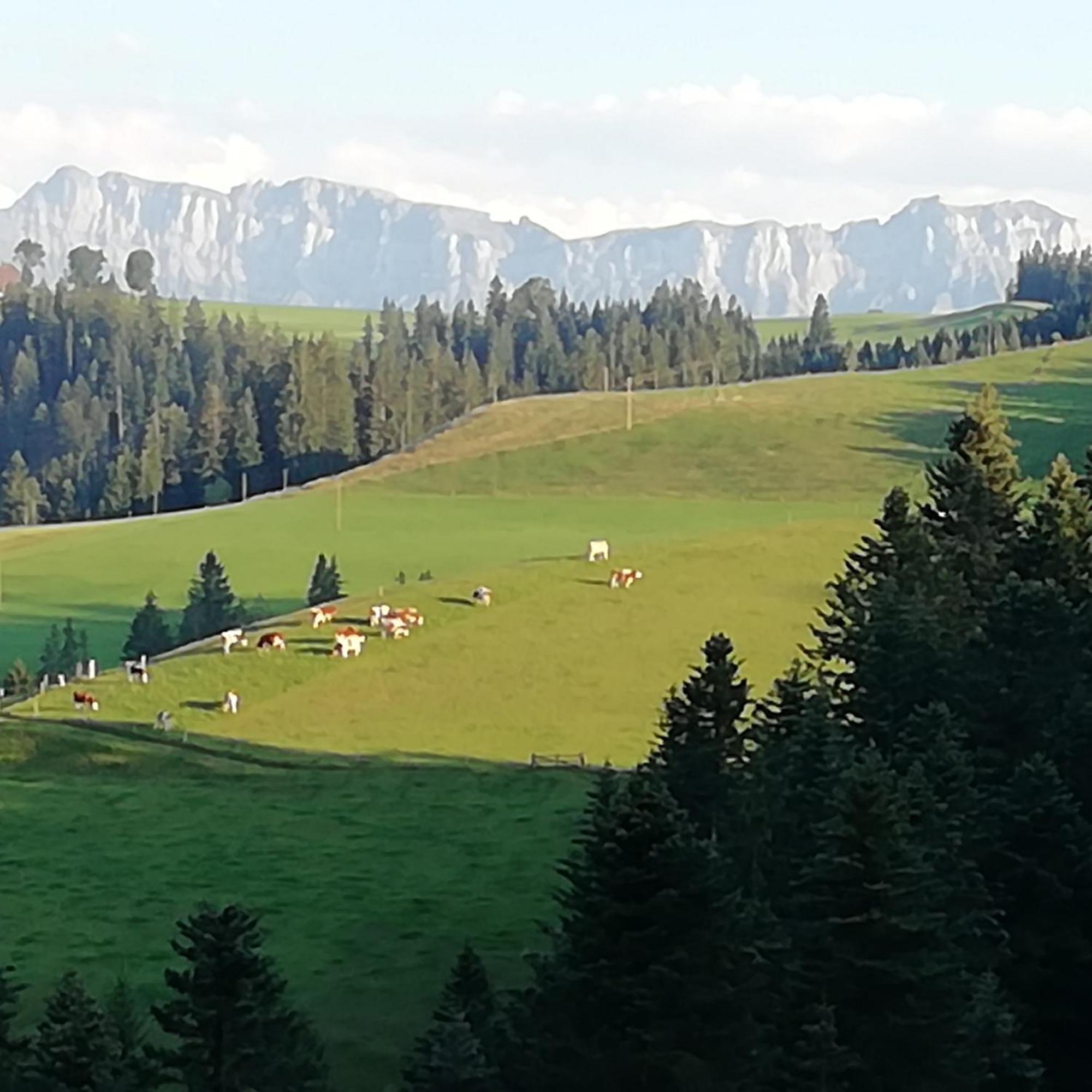 Emmental Ferien Apartamento Langnau Exterior foto